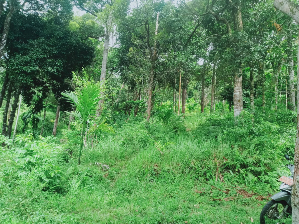 Gunung merupakan salah satu potensi yang dapat dijadikan sebagai sumber pendapatan manyarakatnya